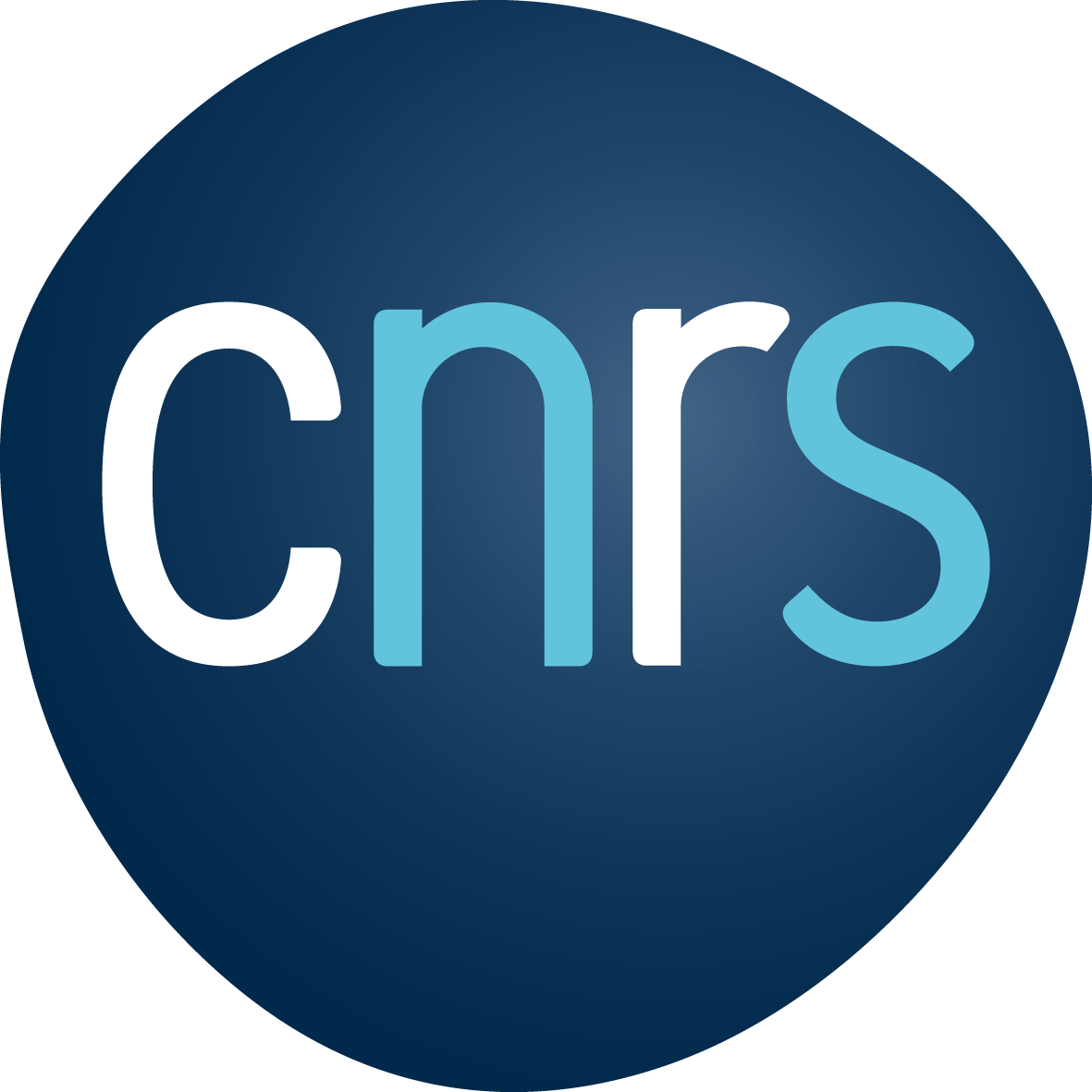 logo_cnrs_2019_rvb.png